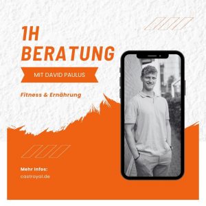 1h Beratung mit David Paulus