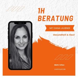 1h Beratung mit Diana Laubner
